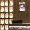 Hisun Tin Sign HD Metal Tin Sign Soft Aesthetic Asian Girl Portrait Cozy Casual Wall Art Decor