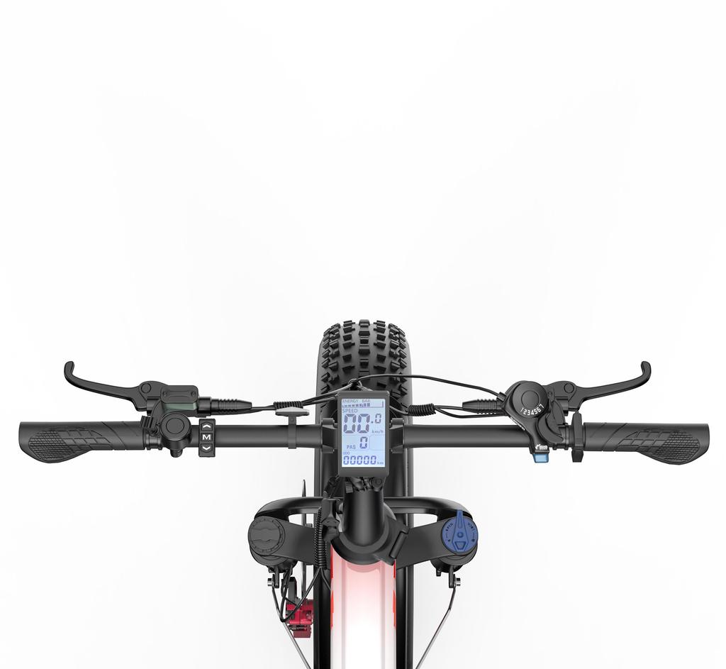 Cheevalry CF1000-1 All-Terrain Electric Bicycle 1000W Motor 48V20Ah Battery 20 Inch Fat Tires 150KG Load Outdoor Riding E-Mountain Bike