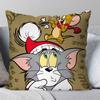 Cartoon T-Tom And J-Jerry Pillow Case Square Pillow Bedroom Sofa Leisure Comfort Cushion Car Living Room Home Decoration