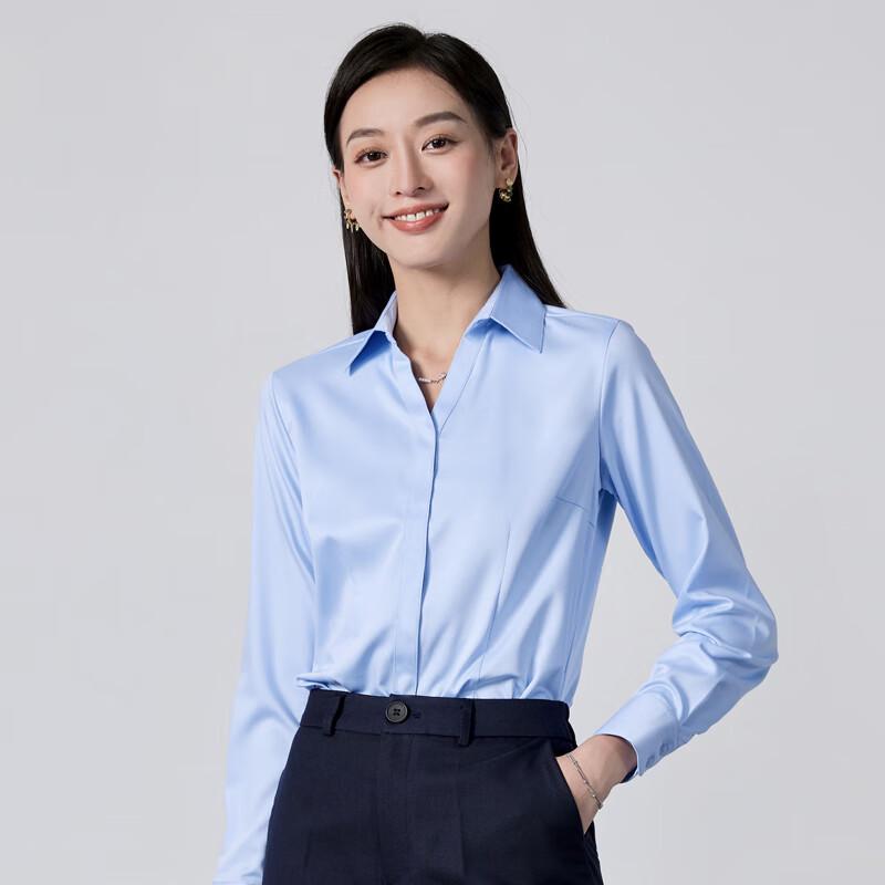 Trolman Women's Wrinkle-Free V-Neck Long-Sleeve Professional Blouse