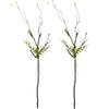 2pcs 40 inch Bendable Artificial Tree Cherry Blossom Branches Vines Twigs Limb Trunk Silk Moss Green Plants for Garden Outdoor Wall Hanging Vase