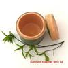 Unpainted Bamboo Tube Steamer with Lid for Zongzi, Rice, and Vegetables