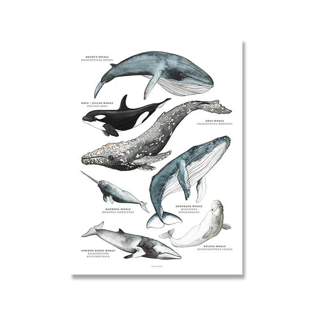 Scandinavian Simple Wall Art Rays Octopus Whale Shark Marine Animal HD Canvas Poster Print Home Bedroom Living Room Decor