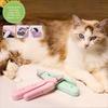 Gatos – Cuidados de gatos