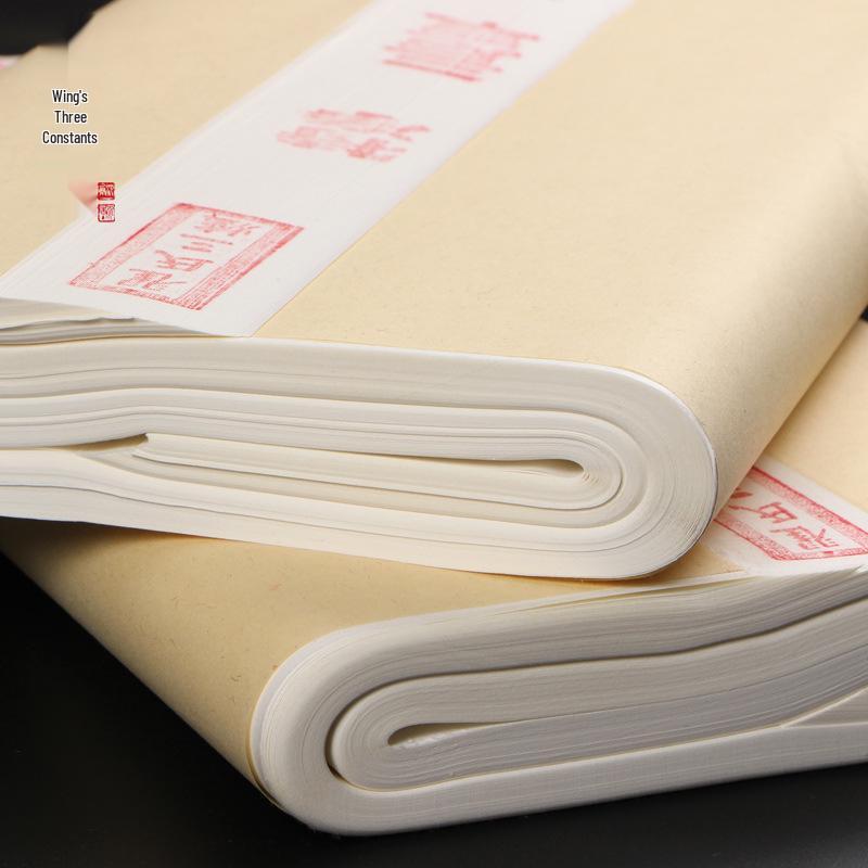 100 Sheets Calligraphy Brush Practice Paper - Semi-Ripe Xuan for Beginners & Chinese Painting