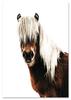 Scandinavian Horse Poster