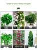 Pothos Climbing Clips: Rose Green Plant Wall Hooks for Vines