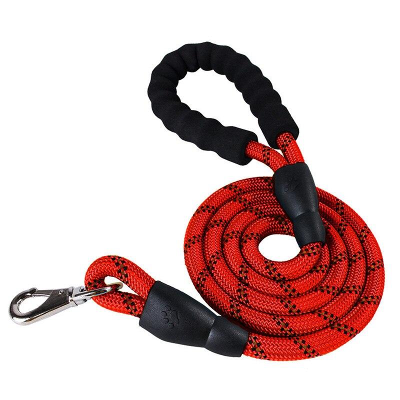 mountain climbing rope dog leash