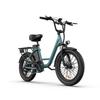 URLIFE-E20 20"x3" Fat Tire Electric Bike - 250W Motor, 48V 13AH Battery, 80-100KM Range