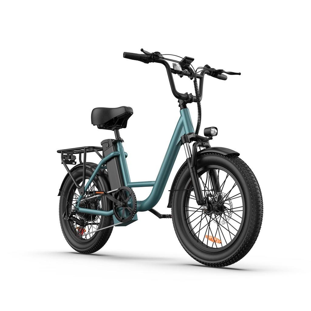 URLIFE-E20 20"x3" Fat Tire Electric Bike - 250W Motor, 48V 13AH Battery, 80-100KM Range