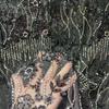 Elegant Beads Sequins Lace Fabric Sequins Embroidered Lace Fabric Diamond Fringe Wedding Dress Material for Clothing