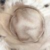 Leopard Print Plush Cap Scarf Set Fluffy Thicken Warm Fisherman Hat  Outdoor Wear