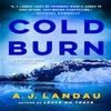 Cold Burn by A. J. Landau Hardback Book 9781250877369