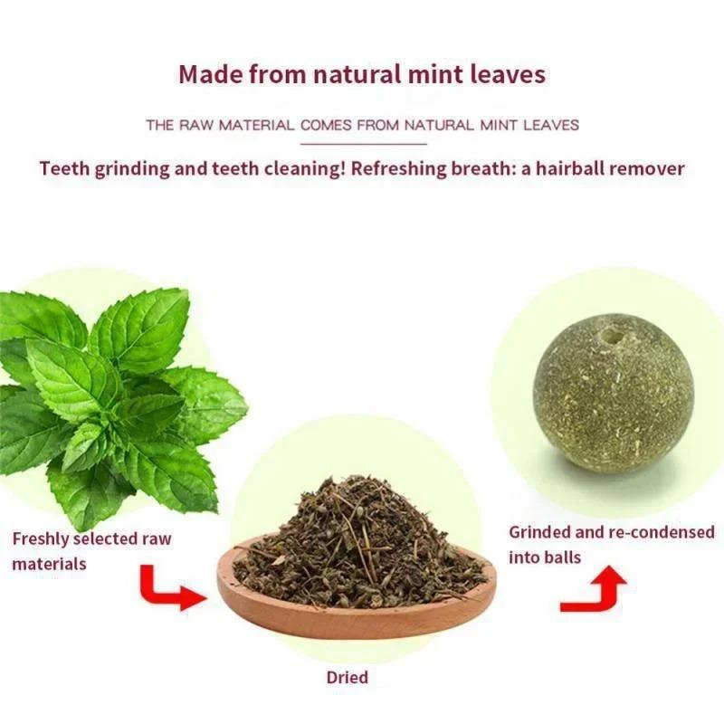 Catnip Ball Cat Toy Self-exuberant Teething Catticker Stick To The Wall Lick Lick Roca Ready-to-eat Baby Cat Supplies LS