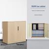 Taishite Wood Grain Steel Filing Cabinet