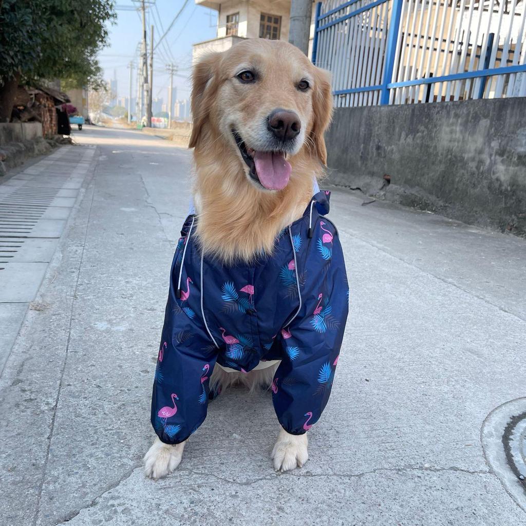 Large Breed Waterproof Reflective Dog Raincoat - Breathable 4-Legged Poncho.
