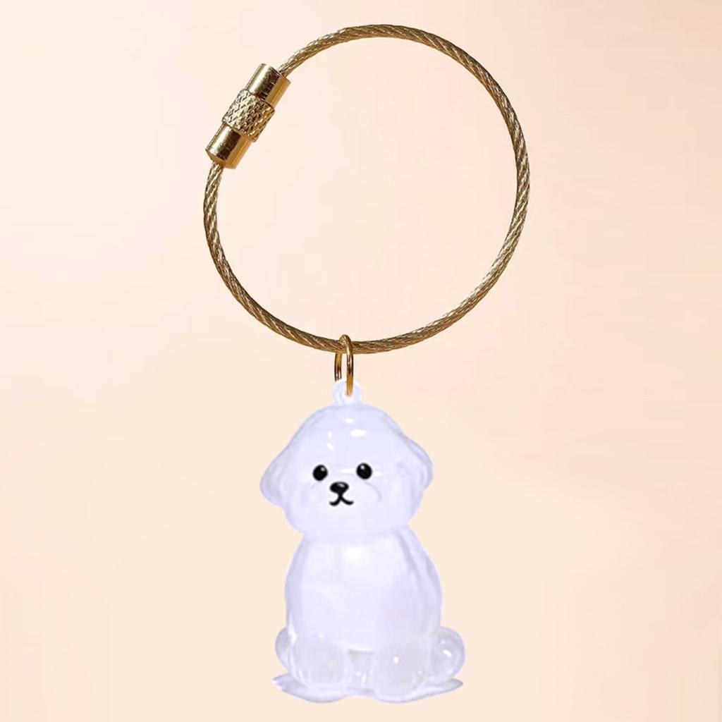 Transparent Cat Hair Storage Box Charm Gacha Cat Hair Storage Capsule Commemorative Collection Bag Keychain Pendant