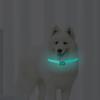Anti-lost Cat Flea Tick Collar Reflective Pet Collar Luminous Pet Flea Tick Collar  Puppy