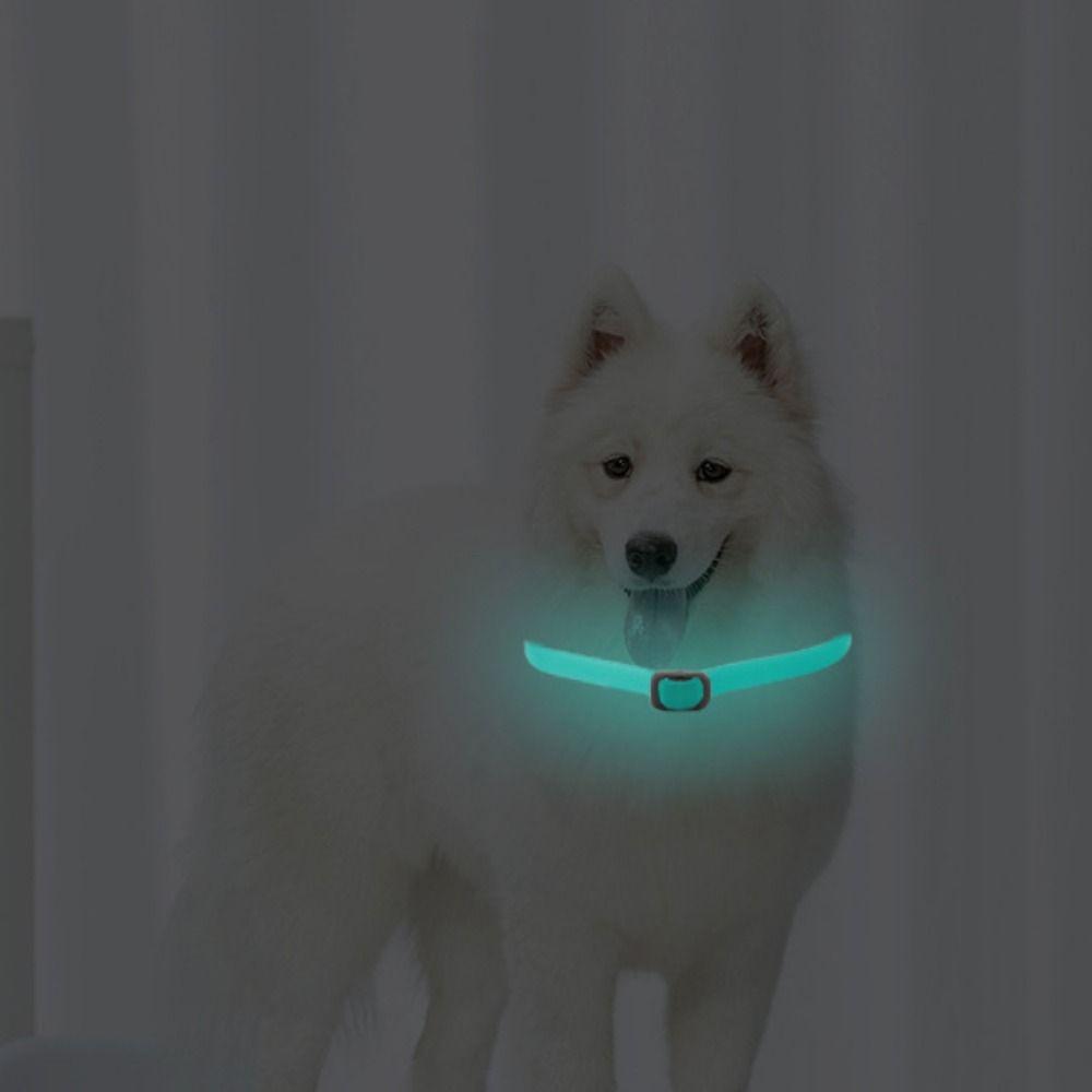 Anti-lost Cat Flea Tick Collar Reflective Pet Collar Luminous Pet Flea Tick Collar  Puppy