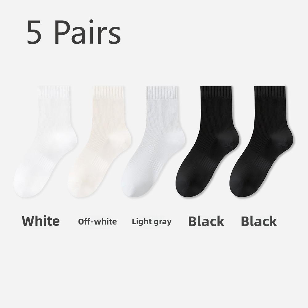 5 Pairs of Women's Spring and Summer Mesh Boneless Anti-bacterial, Anti-odour, Sweat-absorbent Long Casual Socks