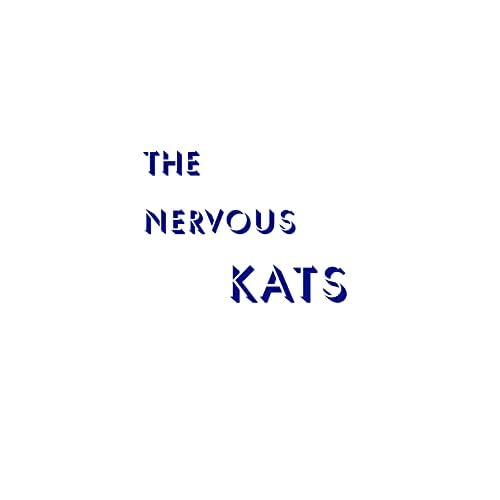 LP Record BAILEY'S NERVOUS KATS - Nervous Kats NUM603 NUMERO GROUP 2023 US Rock