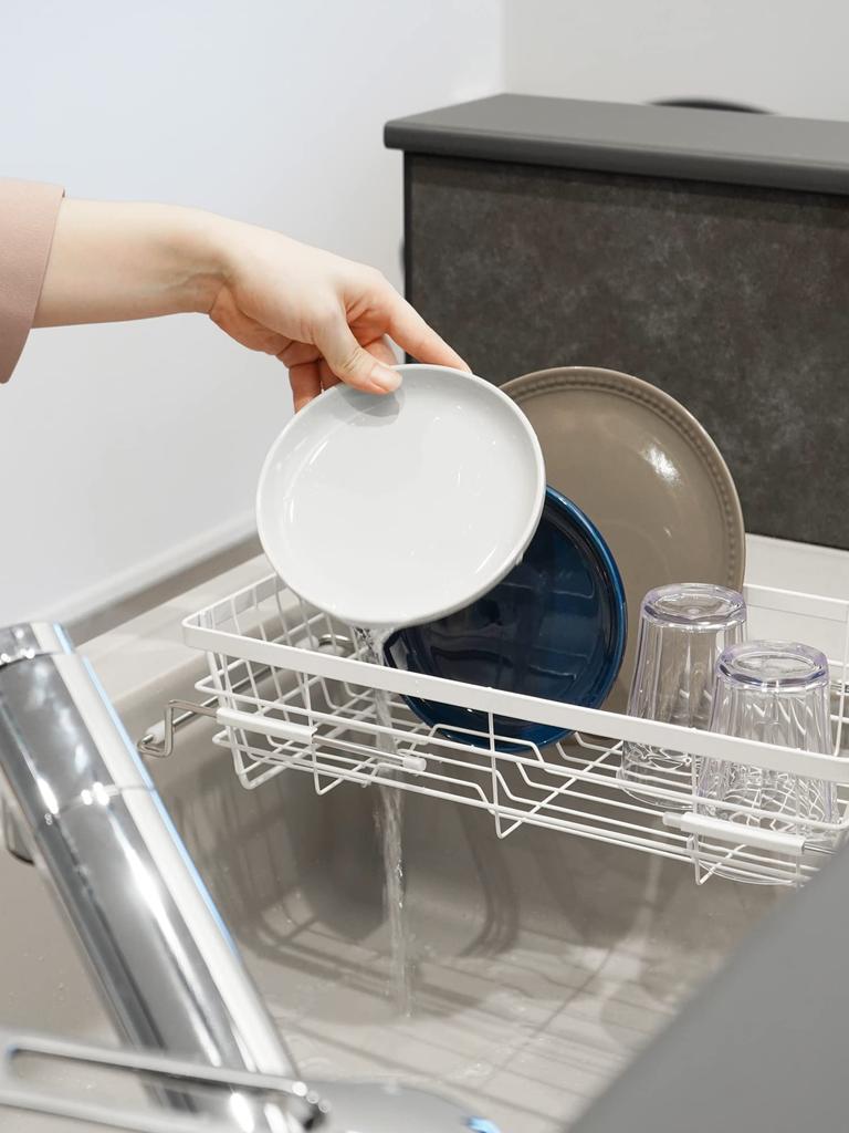 Wahei Freiz Sliding Dish Drying Rack for Sink, Kitchen Storage, Float RG-0446