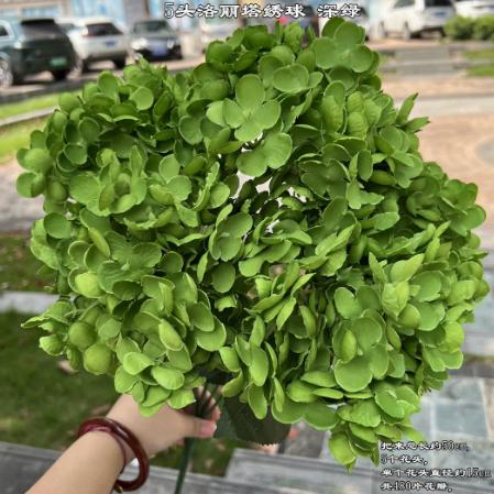 

Artificial Hydrangea Flower Bouquet Silk Floral Arrangement with Deep Green Leaves for Wedding Decoration Home Office Event Display One Size