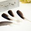 50Pcsdiy Jewelry Accessories Feather Diy Feather Headdress Corsage Hat Shoes Handicrafts Decorative Materials