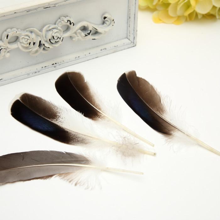 50Pcsdiy Jewelry Accessories Feather Diy Feather Headdress Corsage Hat Shoes Handicrafts Decorative Materials