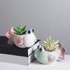 Fish Plant Pot Flowerpot Garden Pot Ceramic Fleshy Plant Pot Planter Plant Holder for Home Office Desk Mini Ornament