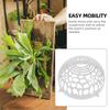 Breathable Phalaenopsis Water Plants Suspension Cover Transparent Plastic Floral Soil Air Vent Protective Cover Indoor Outdoor
