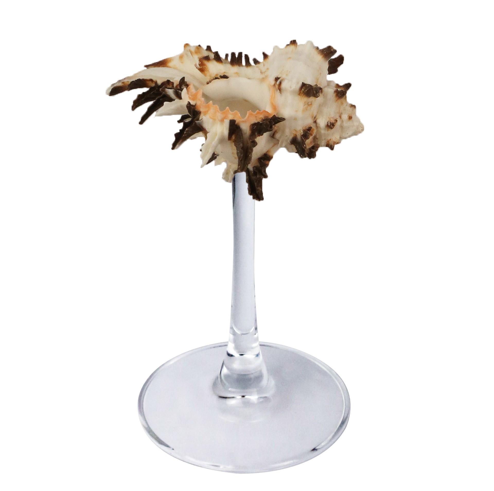 

Полированный Натуральный Ракушечный Бокал для Вина Single (Pearl Cotton Inner Packaging)