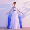 Elegant 2026 Women's Summer-Autumn Evening Gown: Slimming Dress for Banquets and Socialite Gatherings