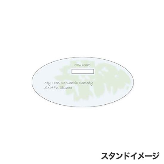 My Teen Romantic Comedy SNAFU Series Acrylic Iroha Isshiki One Piece Complete Figure Ver.