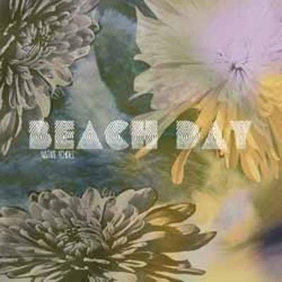 CD BEACH DAY - NATIVE ECHOES  KRJ117 Japan Rock Used
