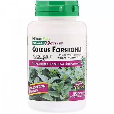 Herbal Actives, Coleus Forskohlii, 125 Mg, 60 Veggie Caps