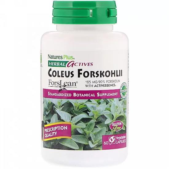 Nature's Plus- Herbal Actives, Coleus Forskohlii, 125 mg, 60 Veggie Caps