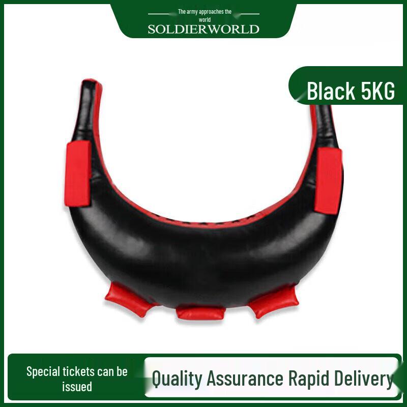 

Bulgarian Bag Weighted Fitness Training Bag