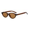 Elegant Cat Eye Oval Sunglasses 2025 for Women – High-End European & American Fashion