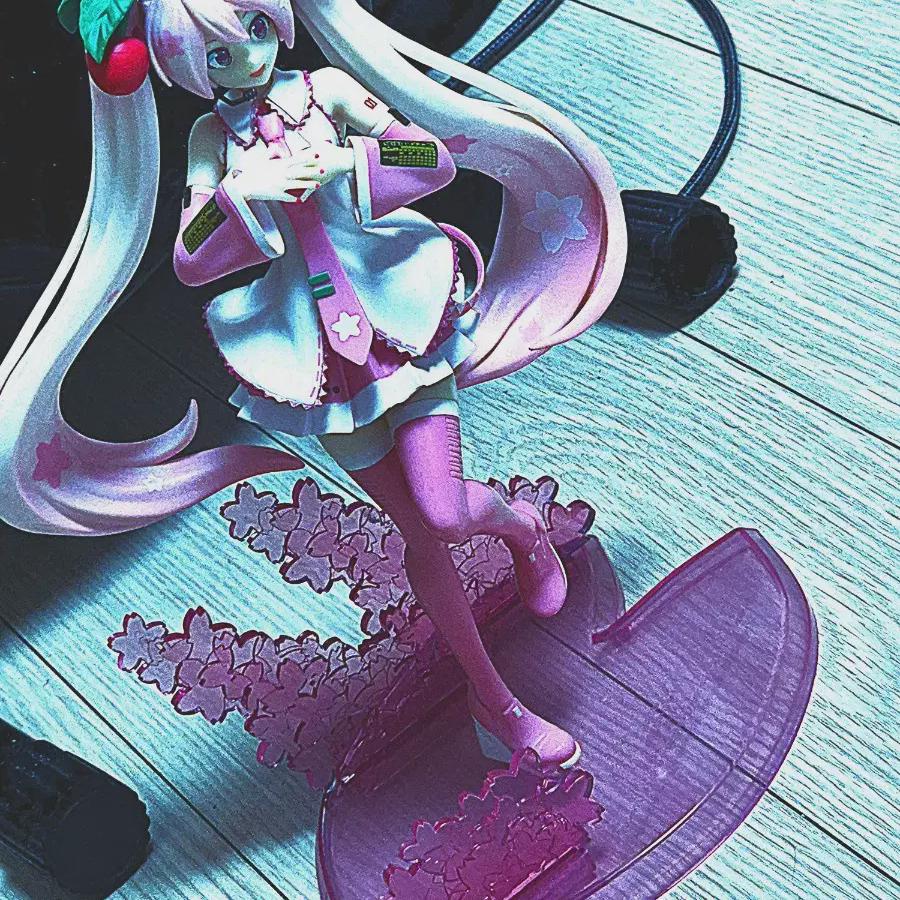 

Sakura Hatsune Miku