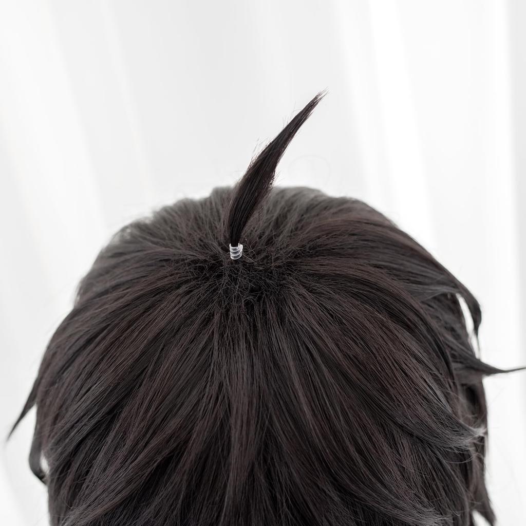 High-quality Dan Heng Cosplay Wig, Dan Heng Anime Style, Heat-resistant, Perfect for Parties, Events, and Costumes. Includes Wig Net. New
