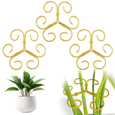 3Pcs Plant Bracket Easy To Use Plant Stem Holders Adjustable Plant Growth Support Stand for Monstera Bonsai