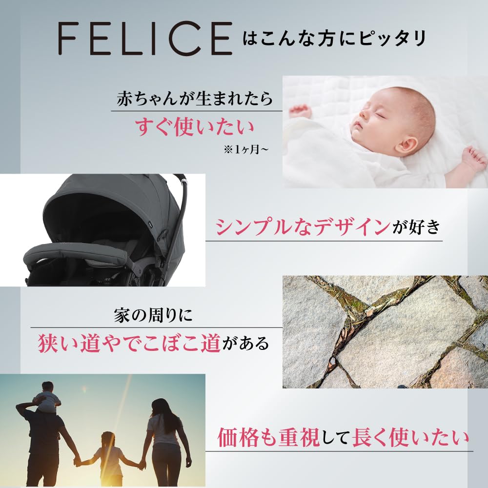 Pigeon Felice A-Type Double-Facing Stroller In Ivy Gray - A Stroller Packed with Everything You Want - Online Exclusive