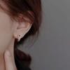 925 Silver CZ Zircon Earrings For Women Fashion Luxury Geometric Double Circle Drops Earring Party Fine Jewelry