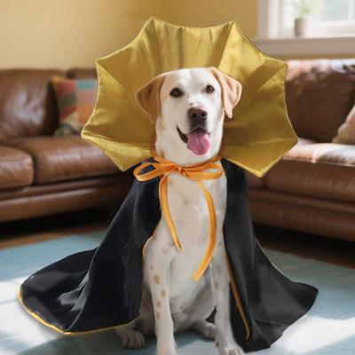 Halloween Haustier Umhang Kostüm Verstellbarer Zauberer Umhang Katze Cosplay Bekleidung Halloween Party Zubehör für Kleine Mittelgroße Hunde Und Katzen