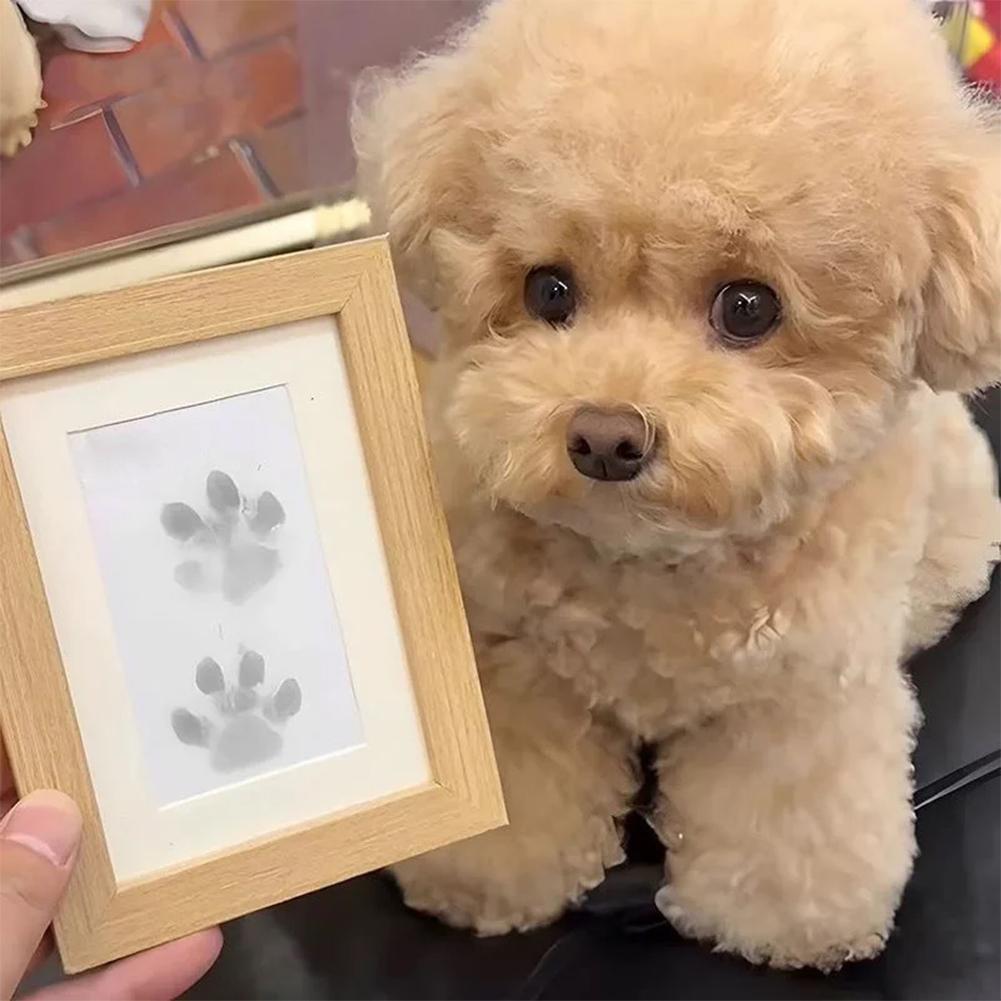 Pet Paw Print Desk Frame With Ink Kit Pet Memorial Picture Frame With Pawprints For Home Decor