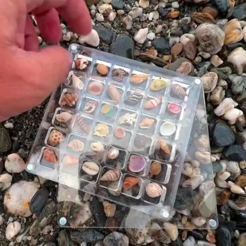 Acrylic Magnetic Seashell Display Box 36/64 Grids Diamond Storage Small Craft Organizers Compartment for Home Garden Decor