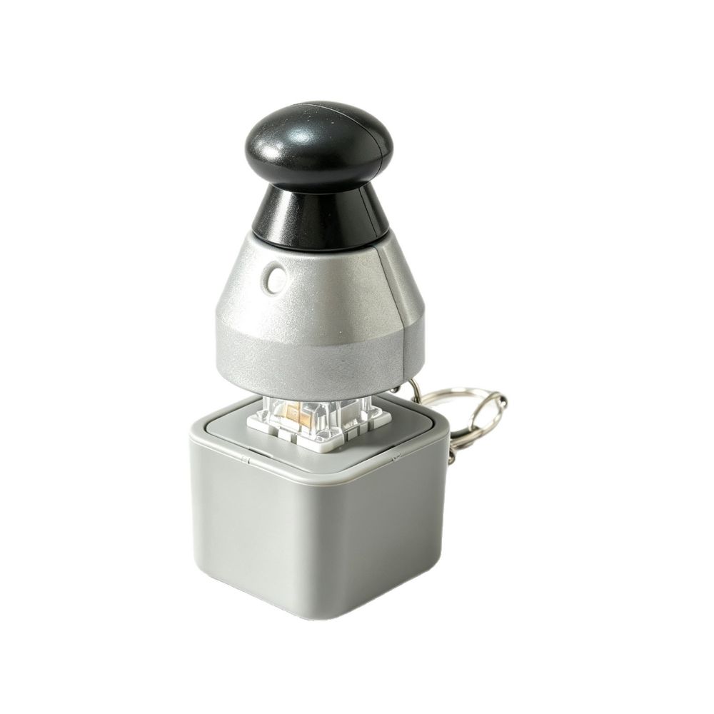 Light Up Pressure Cooker Voice Keychain Keyboard Clicker Button Sound Pendant Kids Toy