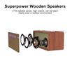 Portable Karaoke Machine for Adults 5W*2 High Power Wireless BT Speakers LED Lights Rechargeable Home Karaoke Support
