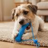 Bite-Resistant Dog Teething Stick Anti-choking Dog Chew Stick Pet Teeth Cleaning Toy  Self Happy